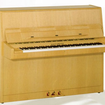 Pianos Förster
