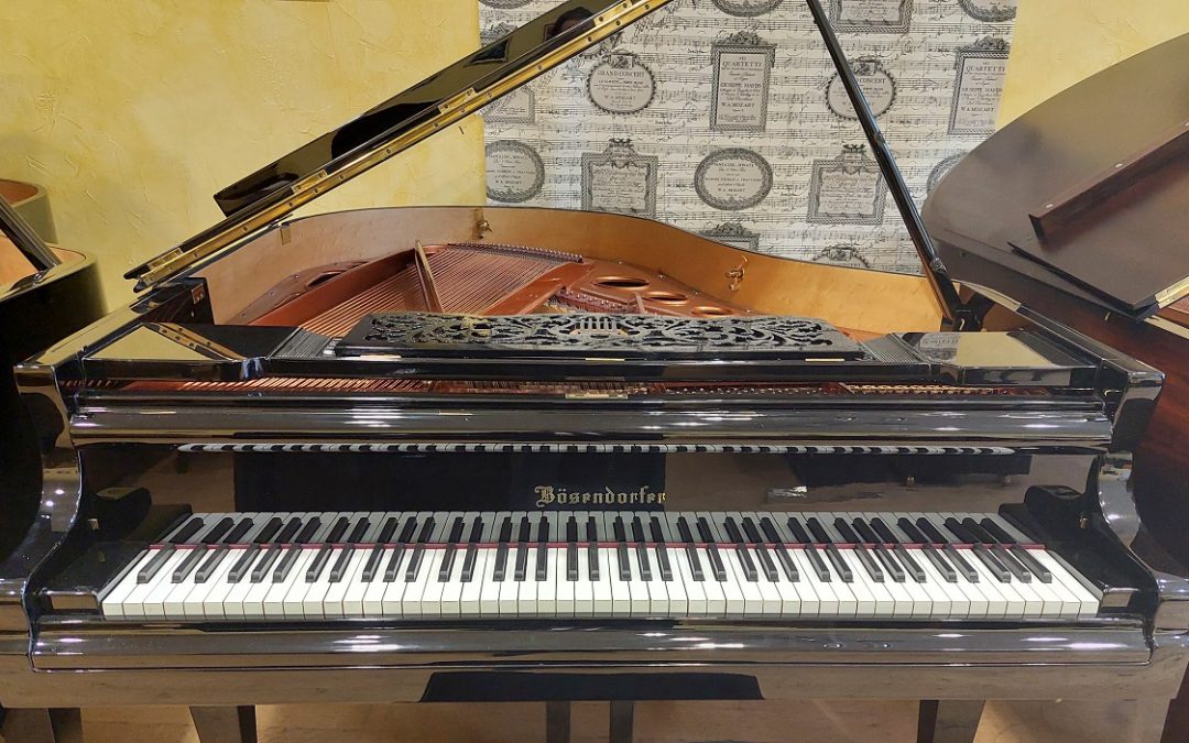 Piano d’occasion : Bösendorfer 170